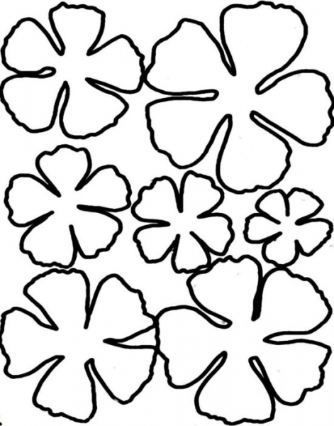 Листики для цветов из бумаги шаблоны
